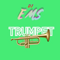 DJ EMS - TRUMPET FANFAR (AFRO BANGER)