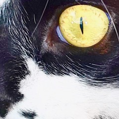 In the name of the moon Techno edition