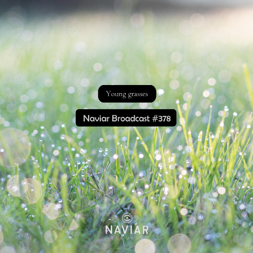 Naviar Broadcast #378 – Young grasses – Wednesday 10th September 2025