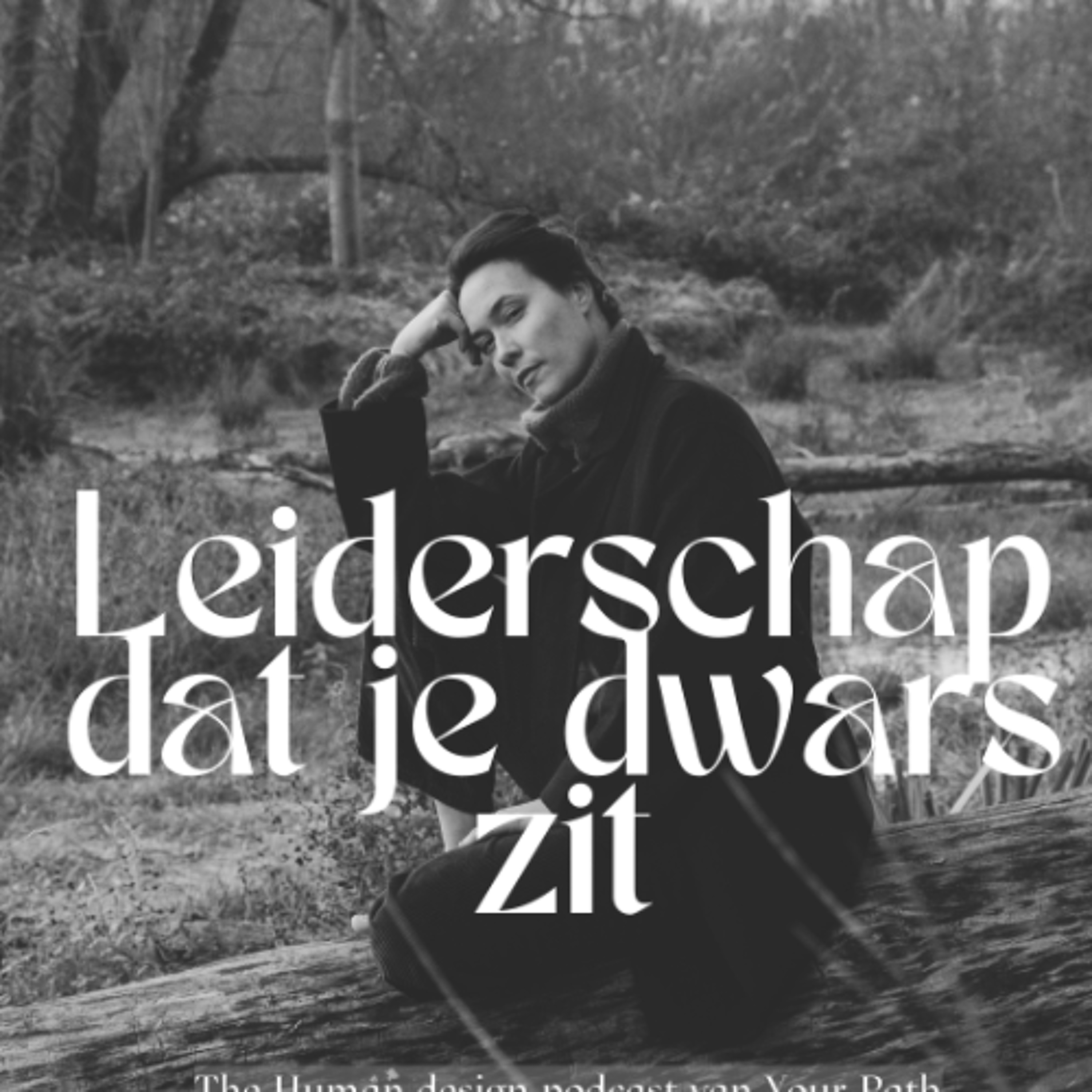 #54 Twee leiderspatronen die je dwars zitten episode artwork