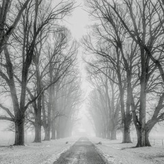 Unrequited (Winter)