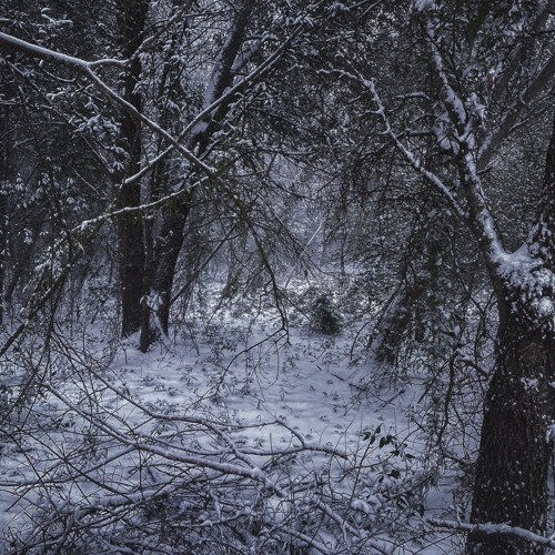 step by step - fadinglight (slowed, pitched)