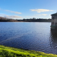 the clouds [naviarhaiku626]