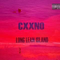 LONG LEAN ISLAND