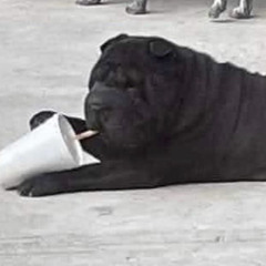 Es viernes y no tengo amigos