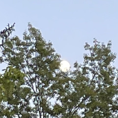 Move ! (prod. @prod_advm x @1sober8)