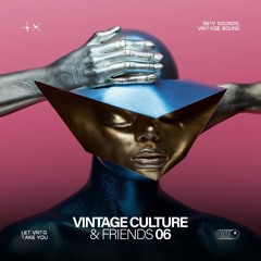 Vintage Culture, Roddy Lima - Analog Ascent