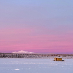 Ombú - 25.12.2025; bučiņš