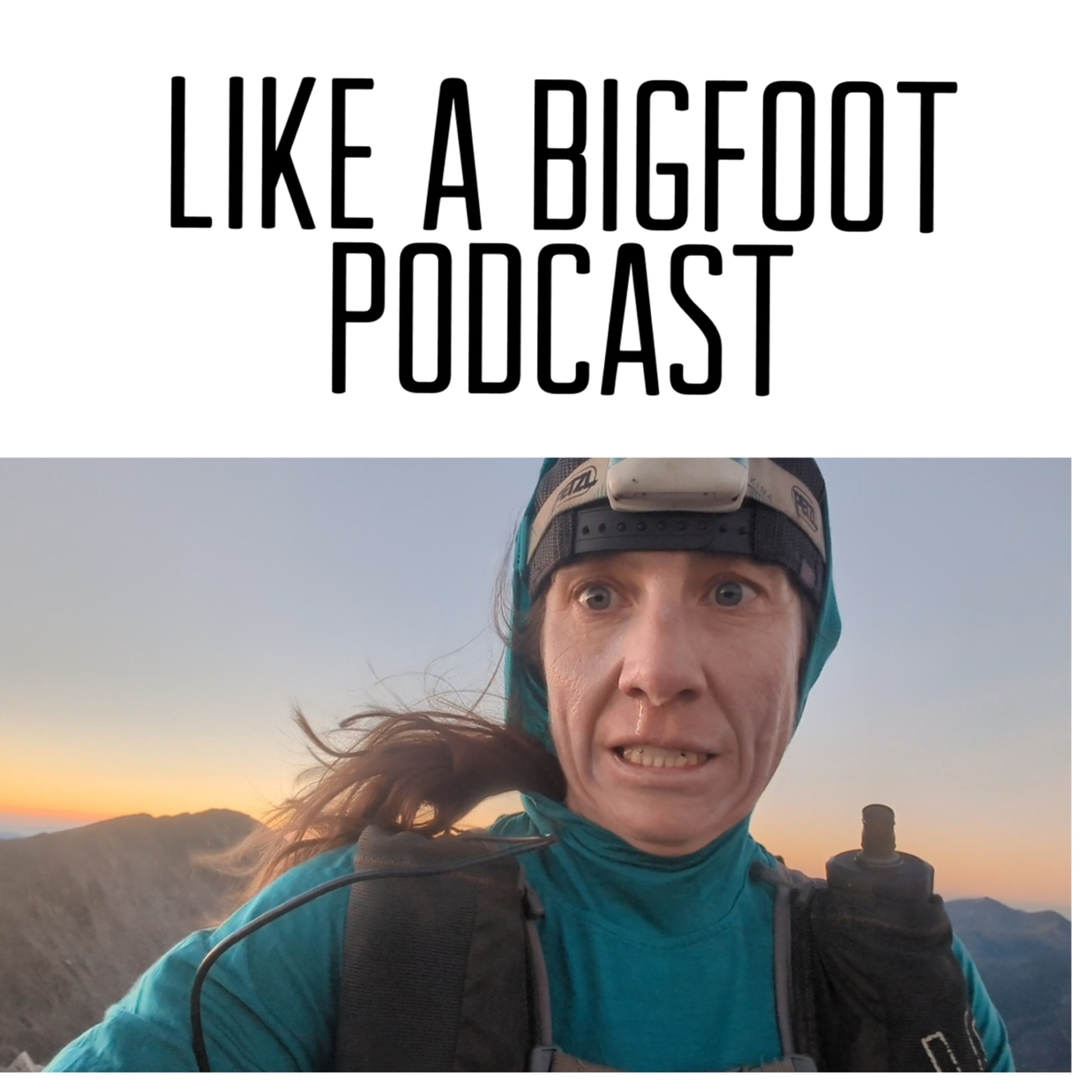 #352: Eszter Horanyi 2 -- The Tale of Her New Unsupported Nolan's 14 FKT episode artwork