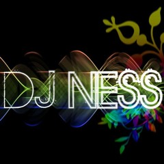 DJ Dream - Hoppesangen (DJ Ness Remake)
