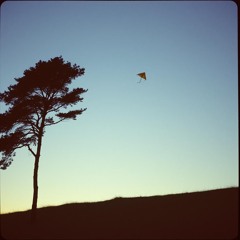 The Wind Between Us.wav