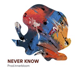 Never Know (Original_Mix)