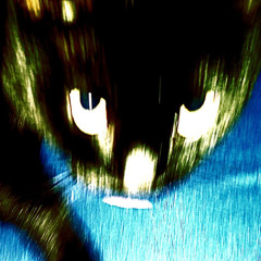 come up!! (prod. niuru)