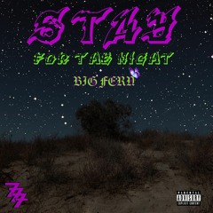 Stay For The Night (prod. Haaga)
