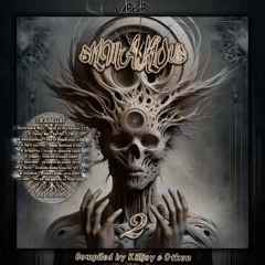 Melodic Rollercoaster 211 (VA BILMAKLOUB Vol2 - Voodoo Hoodoo Rec)