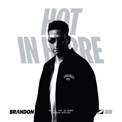 Nelly - Hot in Herre (BRANDON Bootleg)