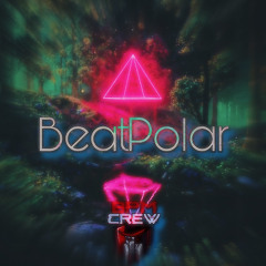BeatPolar