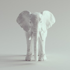 White Elephant (Prod. MkBeats)