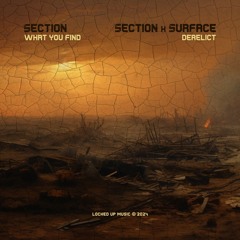 Section 'What You Find' [Locked Up Music]