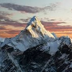 TravisCock W0osah x R.jaWw