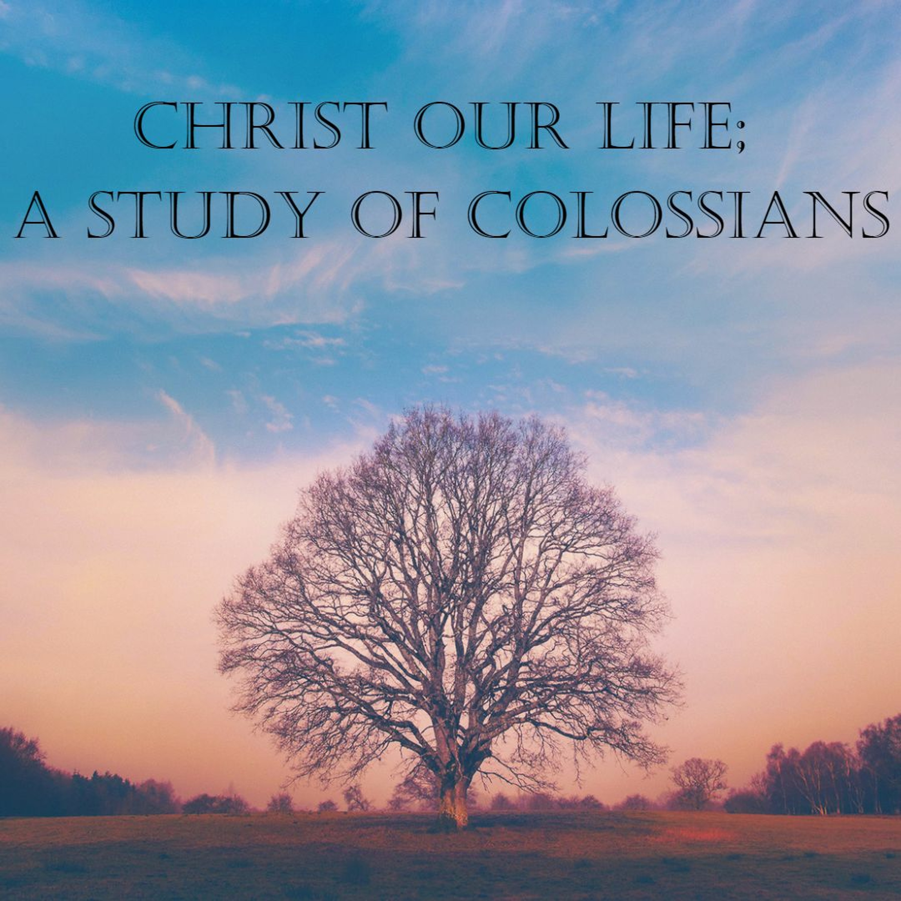Colossians 3:12-17 | Put On Christ | Tom VandenBerg (4.16.2023) episode artwork
