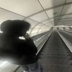 still fly prod. oxokie