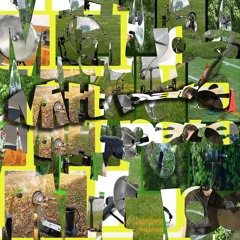 Mitt Paté #38 AN ORCHESTRA COMBINES A HUNDRED OF INSTRUMENTS INTO A SONIC TOTALITY