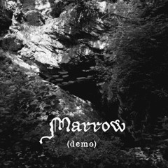 MARROW (Demo)