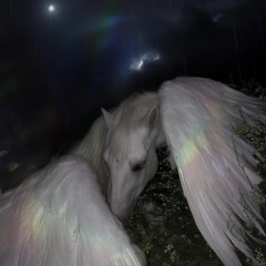 erewhxn [c4] #VVW #nm #icxnxclvst #prxtest