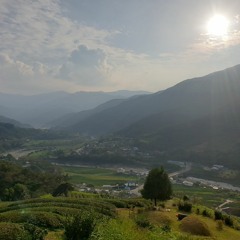 하동군 화개면 정금리 산167