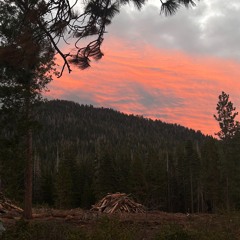 happiness Is overrated anyways (prod Michael Harrison)