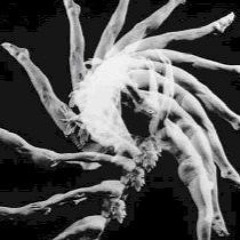 Fonografia On w/ David Dicembre 27-09-2023