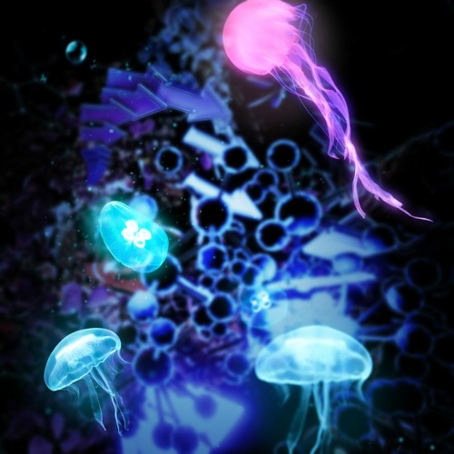 SNBRN x Lucatti - DMs (Remix)
