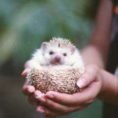 a chill beat i made while being antisocial at a friend's party, the drums and the low end suuck lmao