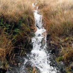 Water Flows - by Will Parsons (WillWalking)