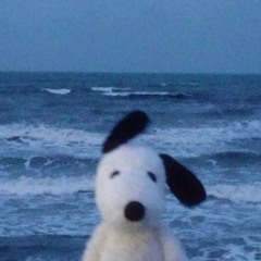 por si todavia tu kiere (2).wav