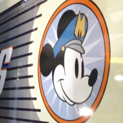 Disney's Magical Express on board video