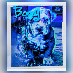 Bogey - (Single)Fuck A Flick.5