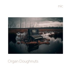 Organ Doughnut