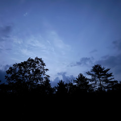 Voiding Skies
