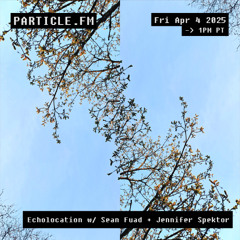 Echolocation w/ Sean Fuad + Jennifer Spektor - Apr 4th 2025
