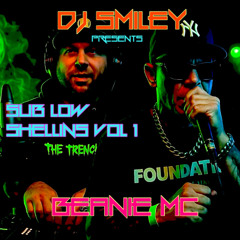 Sublow Shellins Vol 1