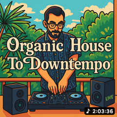 Organic House to Downtempo - Set by Valved