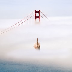 Foggy Sundays