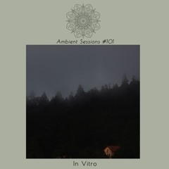 Ambient Sessions # 101 - In Vitro - Siesta Sonora (Live Set In Mineral Del Monte)