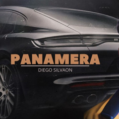 DIEGO SILVAON - Panamera