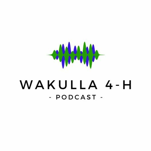 The Wakulla County 4-H Podcast - Episode 1 - Carrie Boyd