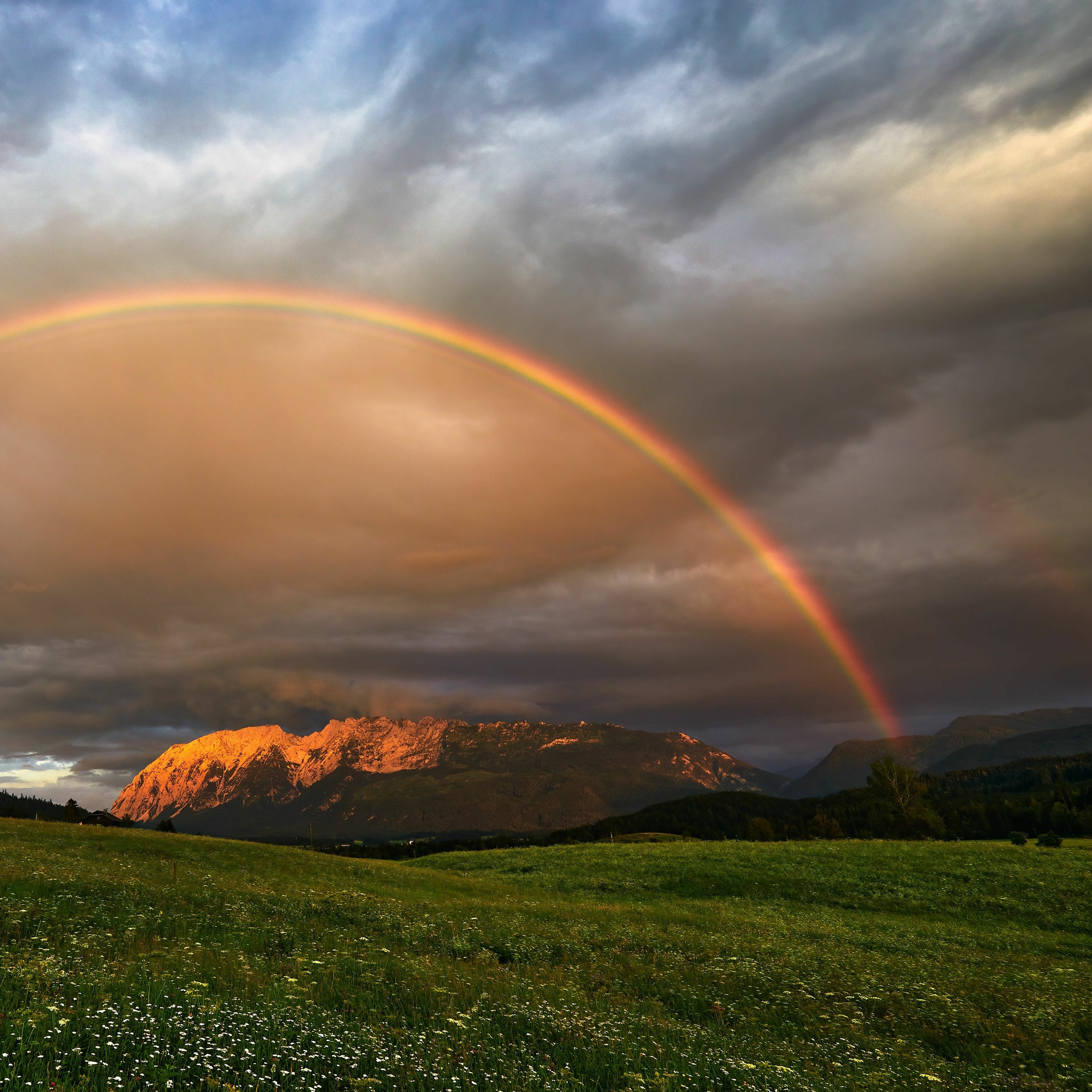 Follow Me In The Rainbow Haze