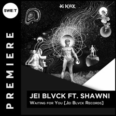 PREMIERE : JEI BLVCK Ft. Shawni - Waiting for You (Original Mix) [JEI BLVCK Records]