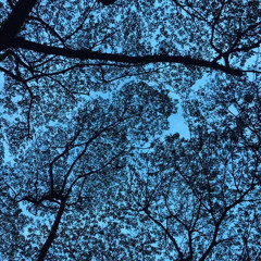 Time is Running Out - Muse (Short Dying Cover)